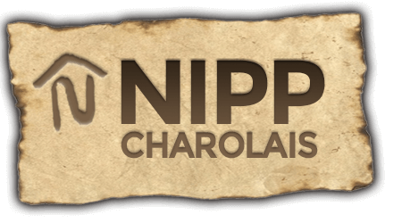 Nipp Charolais